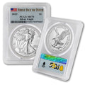 1 oz American Silver Eagle Coin MS-70 N172
