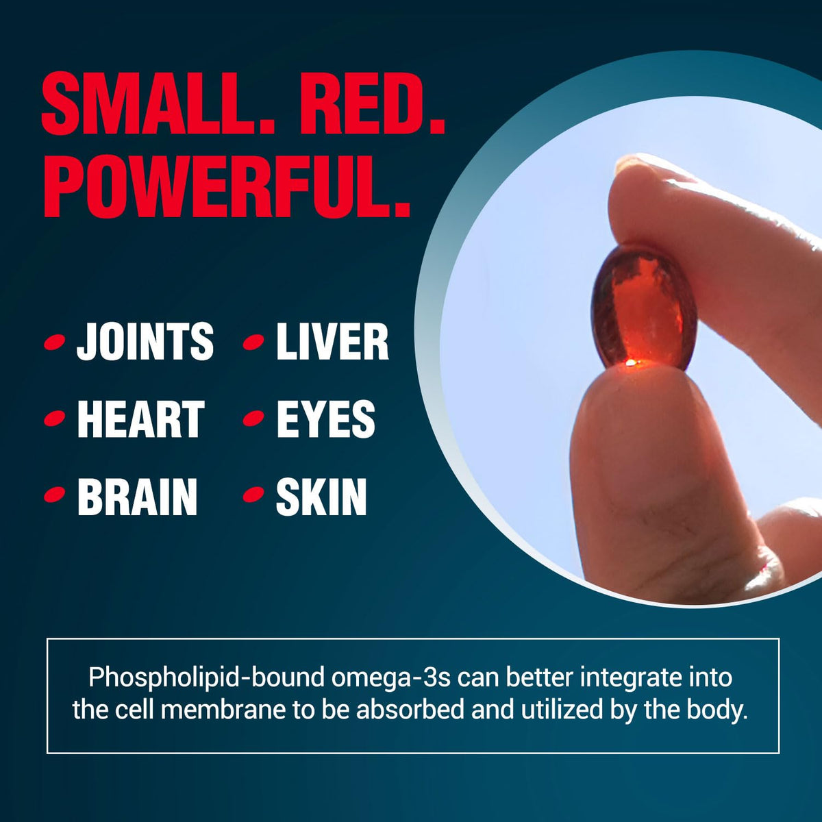 Omega-3 Krill Oil 60 Ct x 2 Pack C77150
