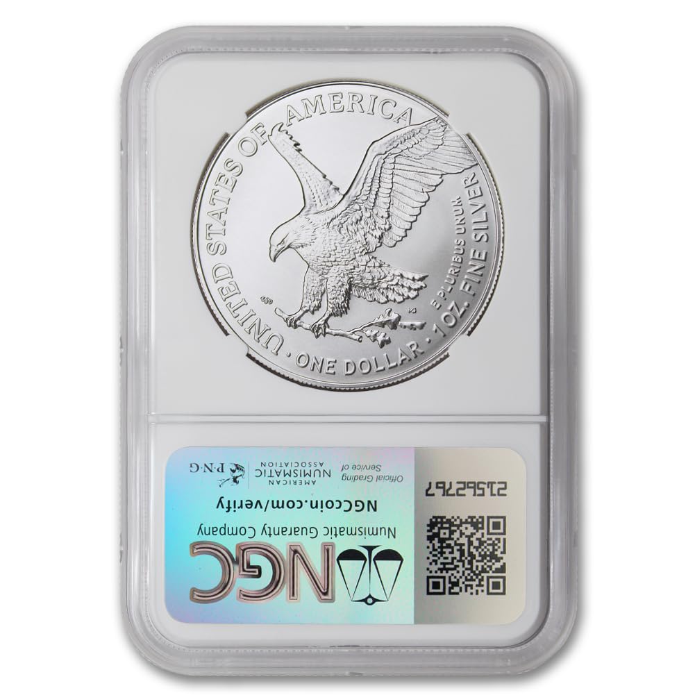 1 oz American Silver Eagle Coin R645