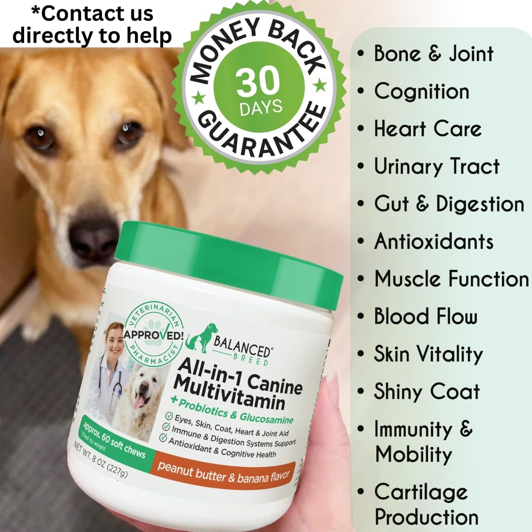 Dog Multivitamin Soft Chew Glucosamine Z681759