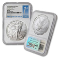 1 oz American Silver Eagle Coin R645
