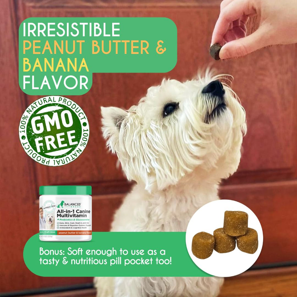 Dog Multivitamin Soft Chew Glucosamine Z681759