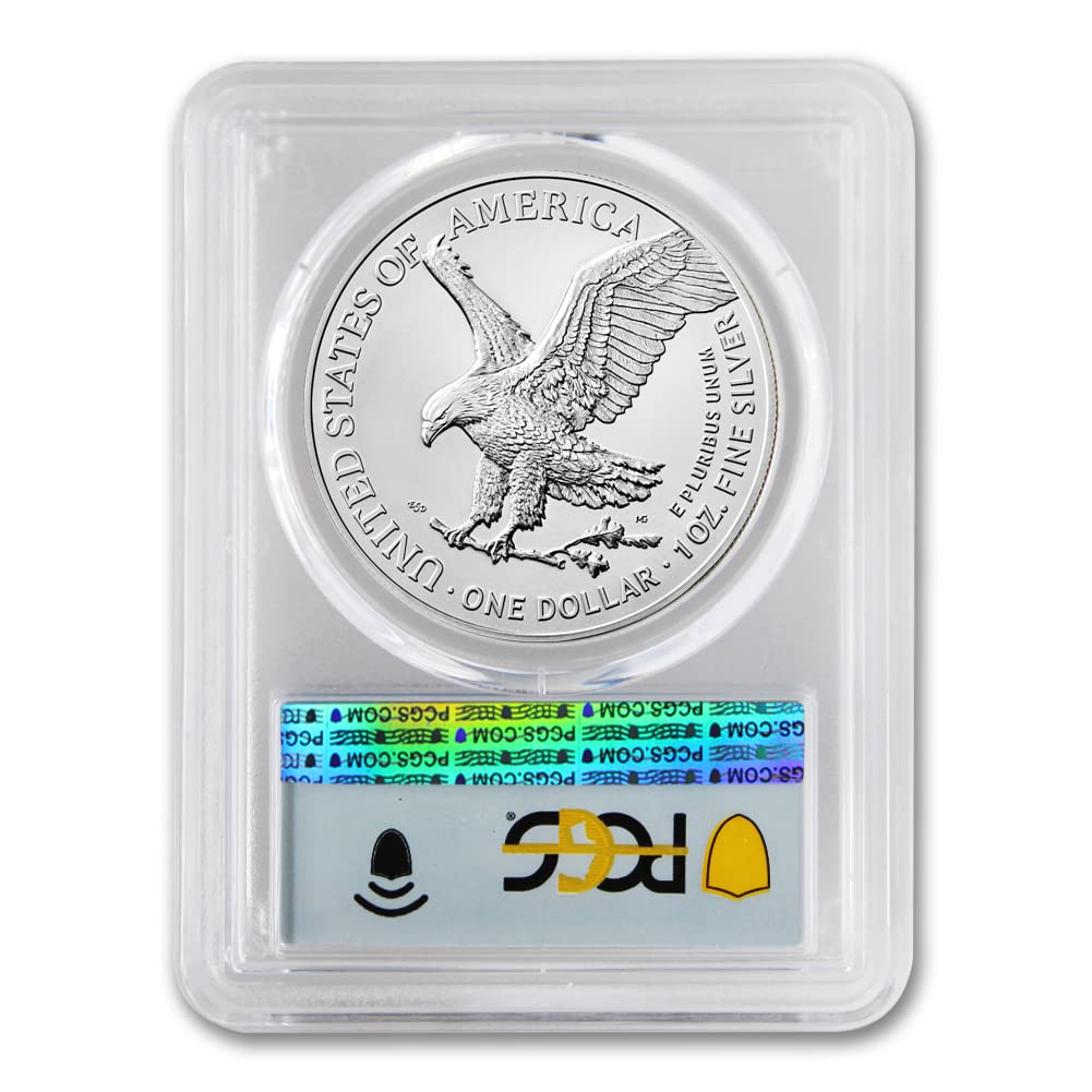 1 oz American Silver Eagle Coin MS-70 N172
