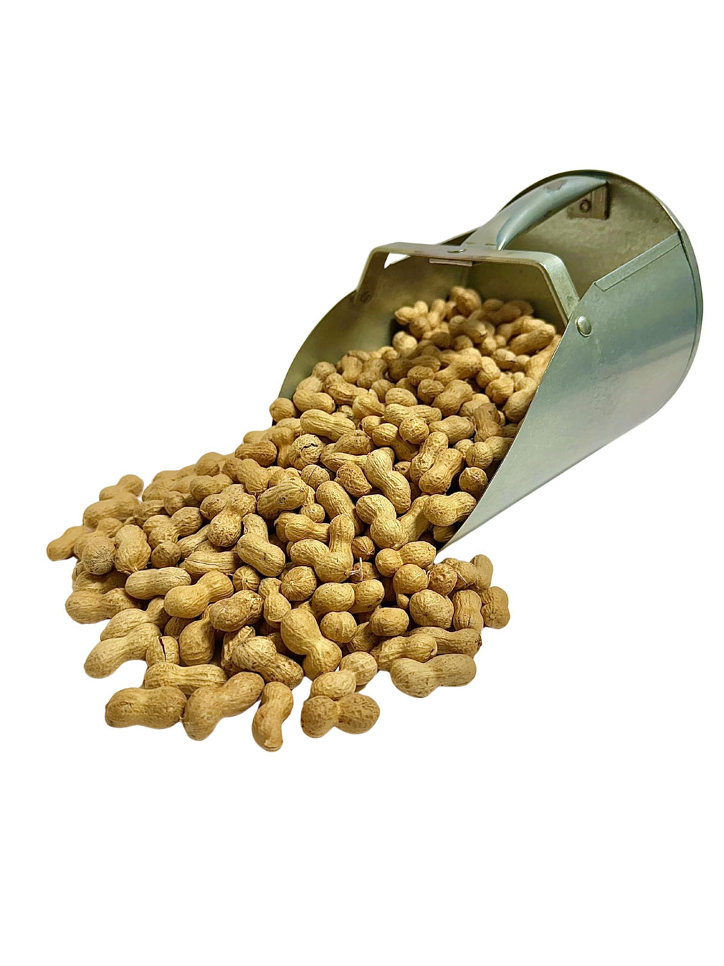 5 Pounds Raw Spanish Peanuts in Shell A8590