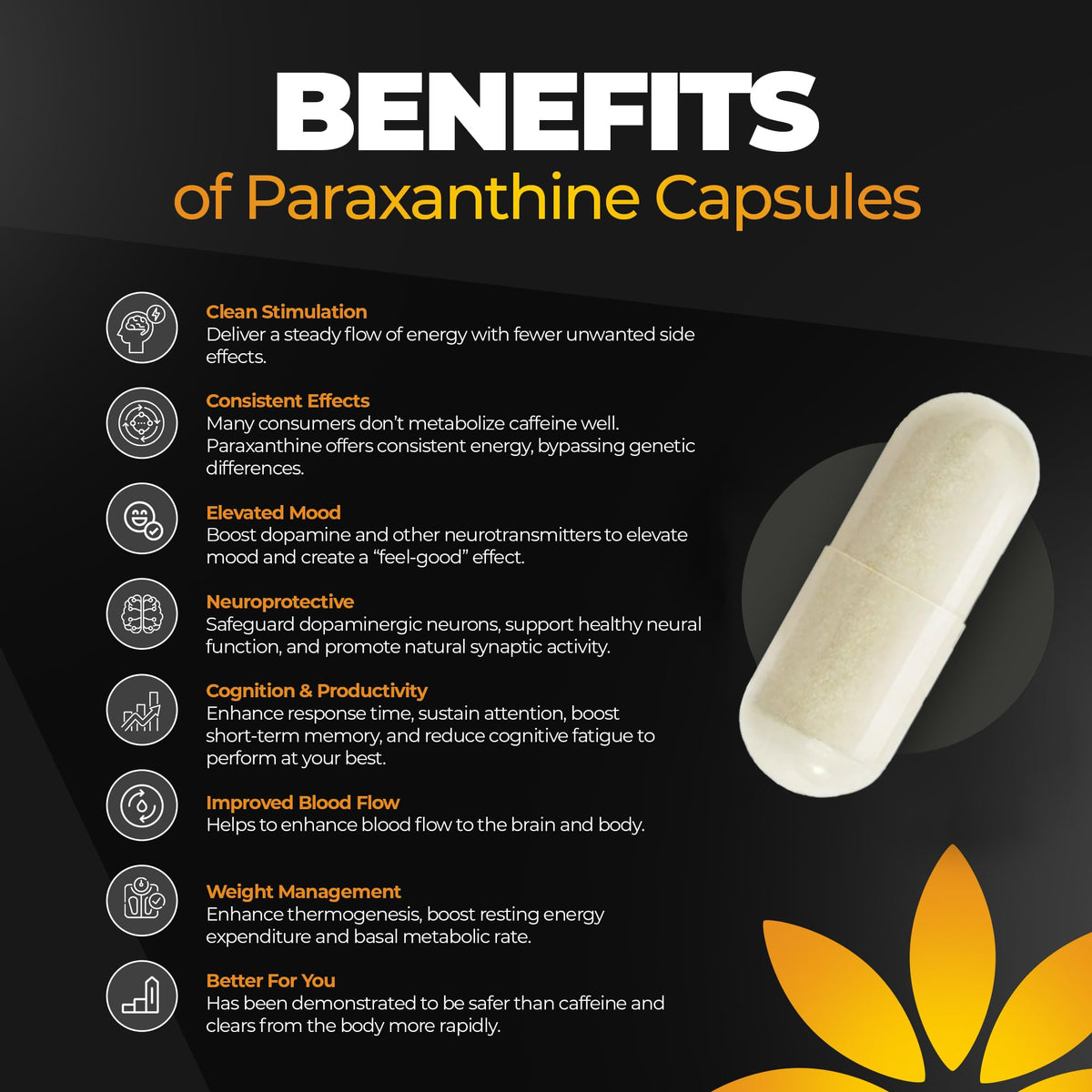 200 mg Paraxanthine Capsules X830350