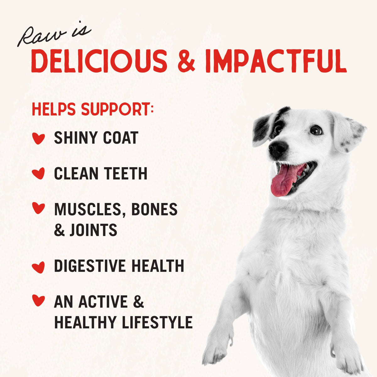 Freeze-Dried Raw Chicken Heart Dog Treats 11oz Bag V652921