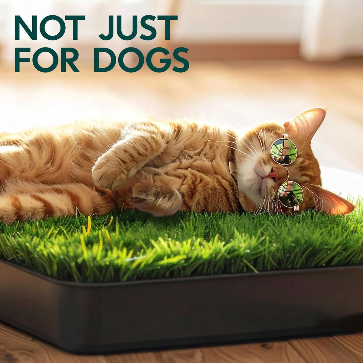 23”x35” Artificial Grass Dog Potty Pad with Tray S247846