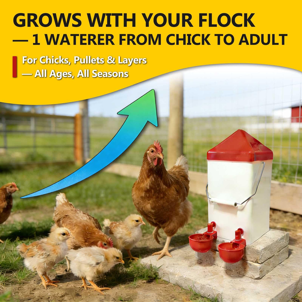 PVC Hanging Chicken Waterer with Hook, 1 Gal A10934