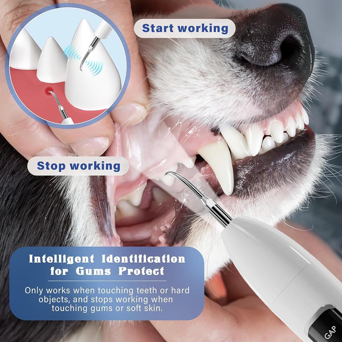 Ultrasonic Pet Dental Cleaner with 4 Tips, 3 Modes, LED, White S683040