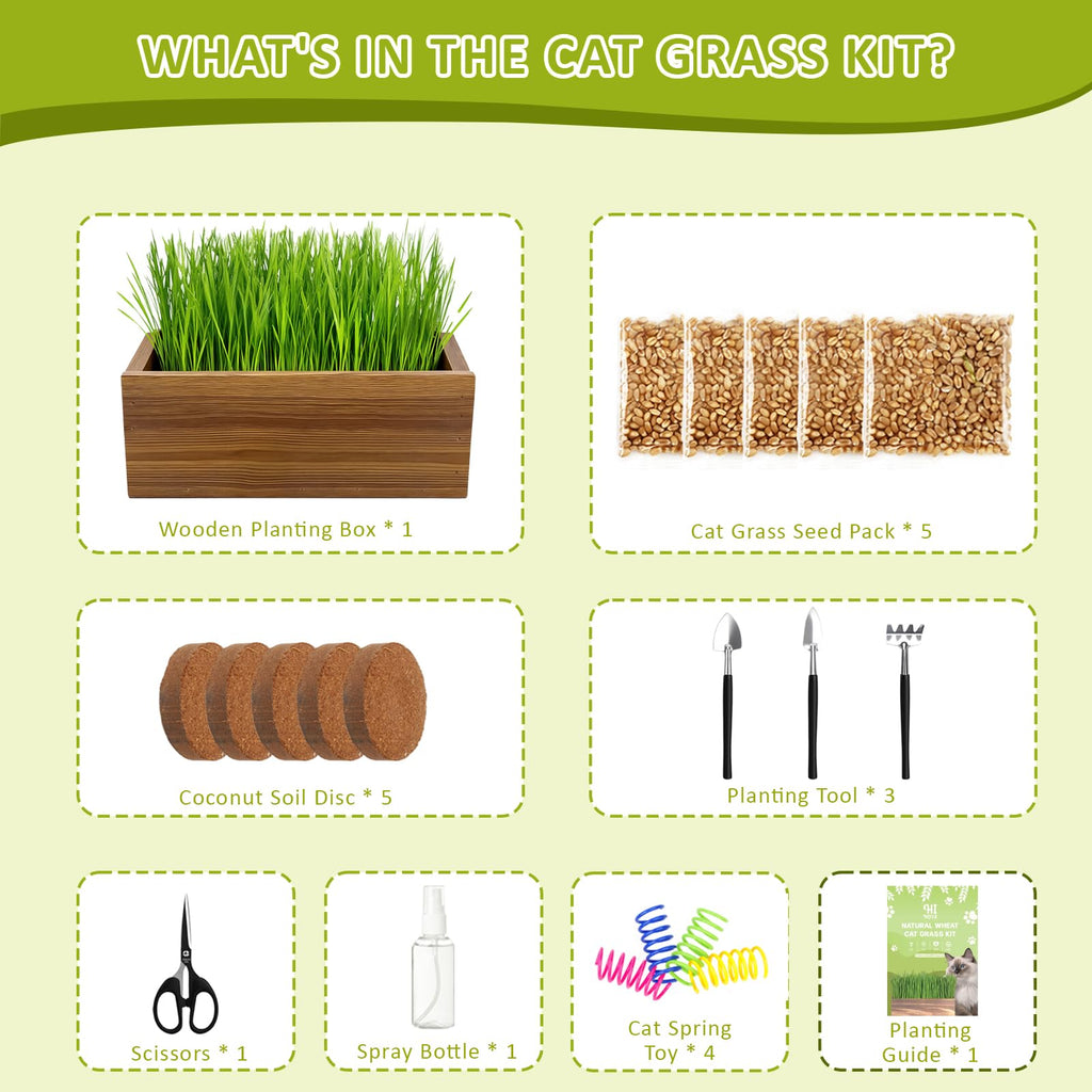 Cat Grass Kit with Wooden Planter 5 Pack V6935