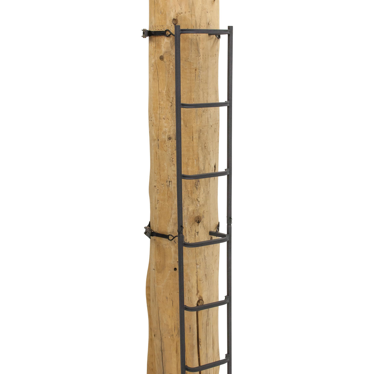 20' Tree Ladder with Non-Slip Coating O6468