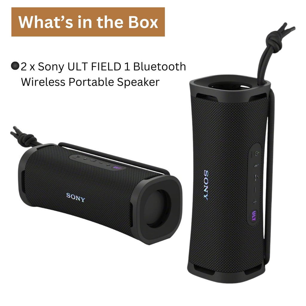 Black 2-Pack Portable Bluetooth Speaker E423