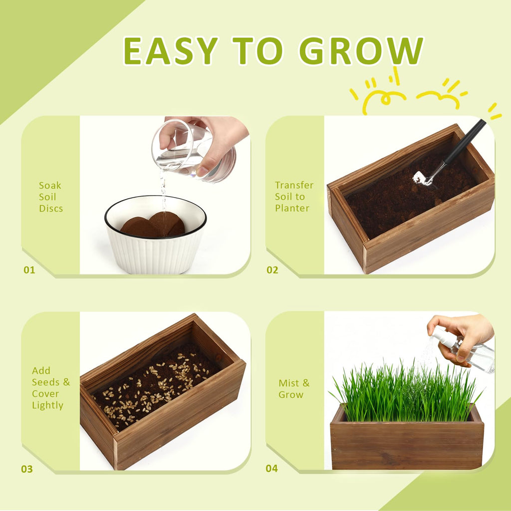 Cat Grass Kit with Wooden Planter 5 Pack V6935
