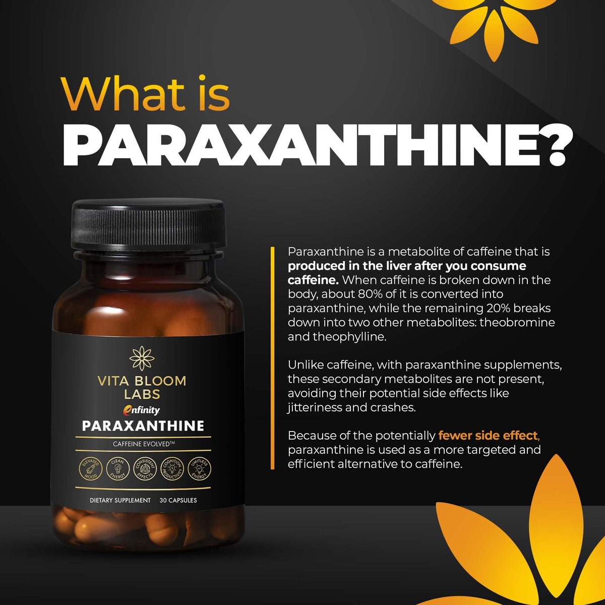 200 mg Paraxanthine Capsules X830350