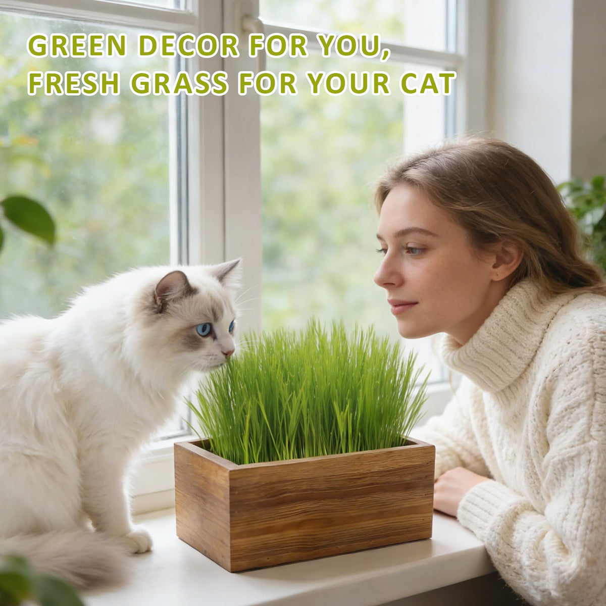 Cat Grass Kit with Wooden Planter 5 Pack V6935