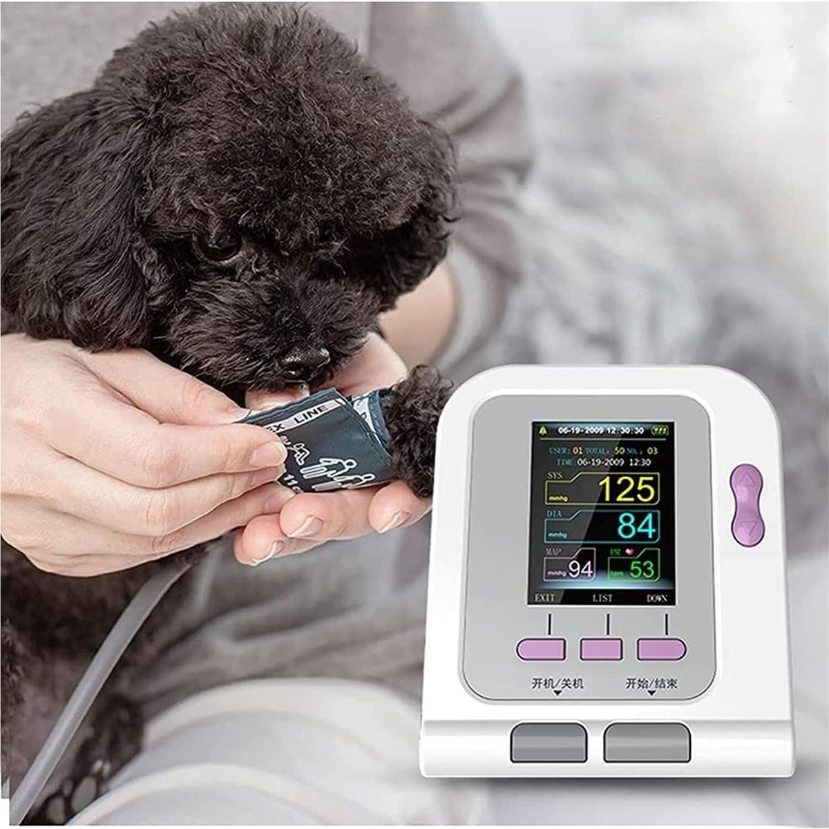 Pet Blood Pressure Monitor with 3 Cuffs H1706