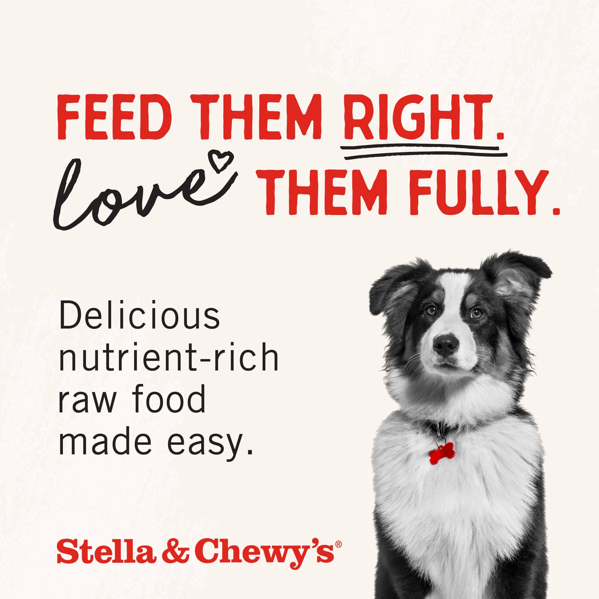 Freeze-Dried Raw Chicken Heart Dog Treats 11oz Bag V652921