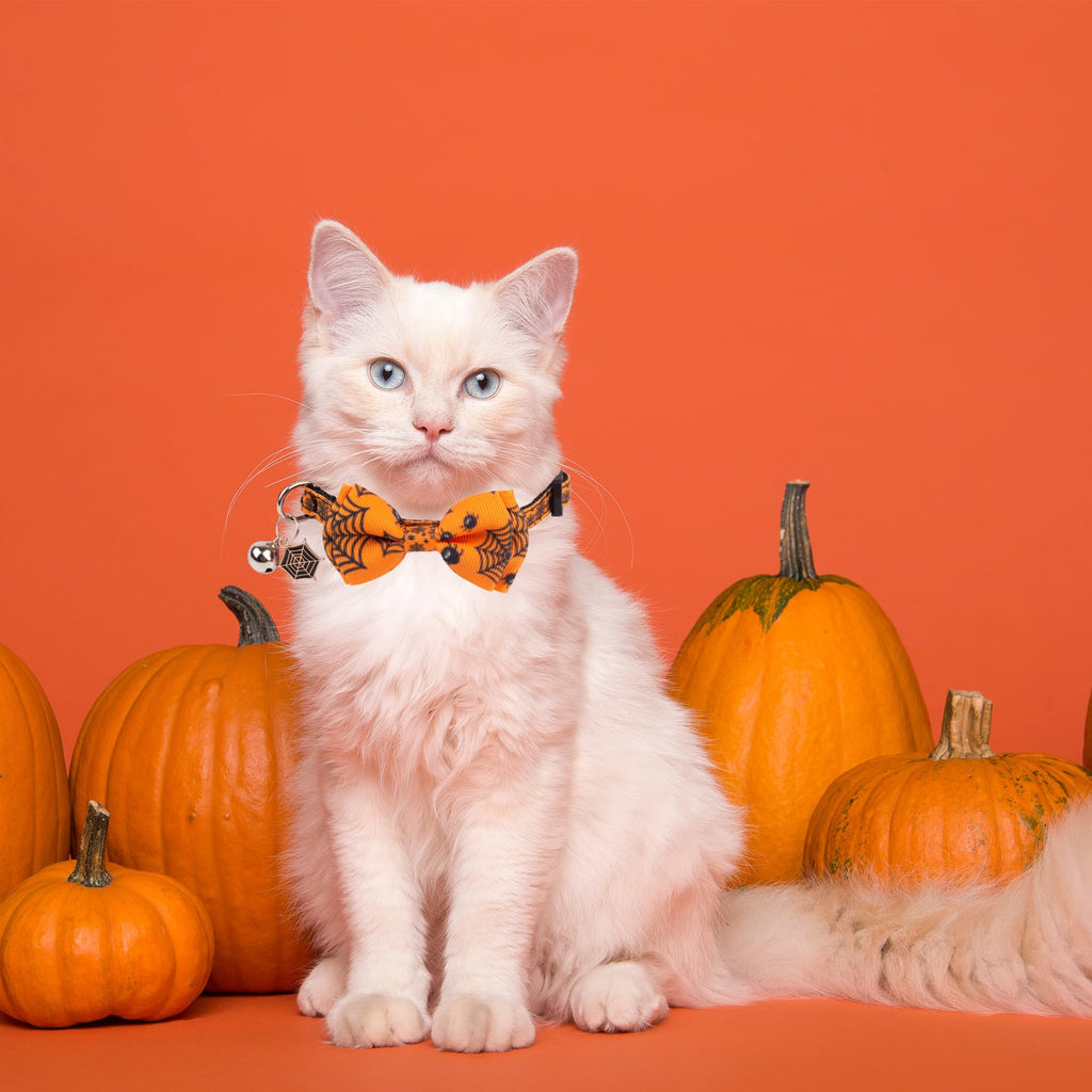 Halloween Cat Collar with Bow Bell H18038