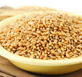 Hard White Spring Wheat Berries, 50 Lb. Bag B6109