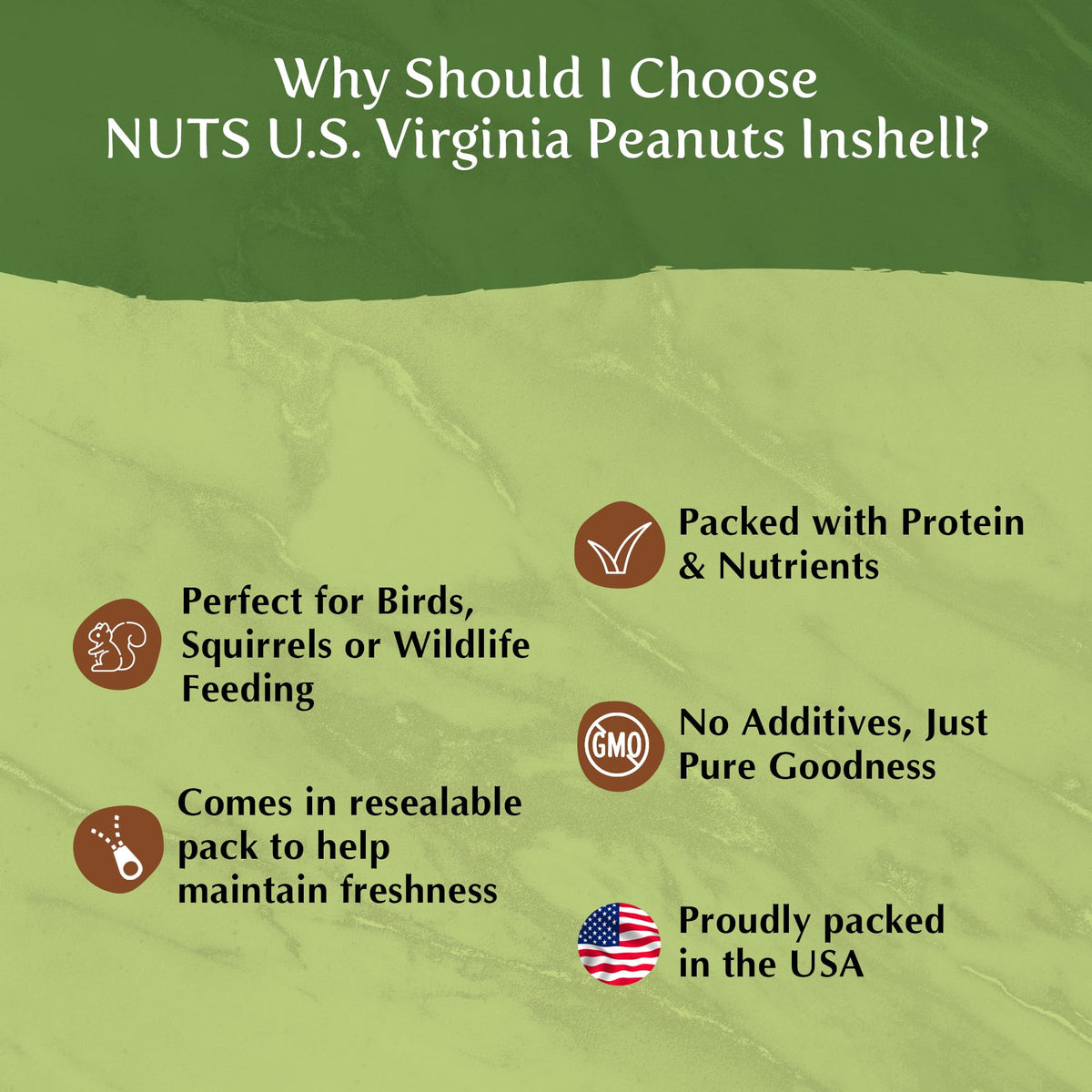 Whole In Shell Unsalted Peanuts 2 LBS Y6982