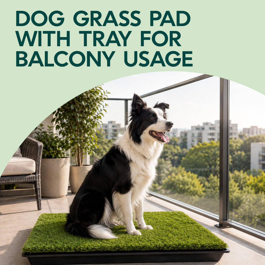 23”x35” Artificial Grass Dog Potty Pad with Tray S247846
