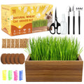 Cat Grass Kit with Wooden Planter 5 Pack V6935