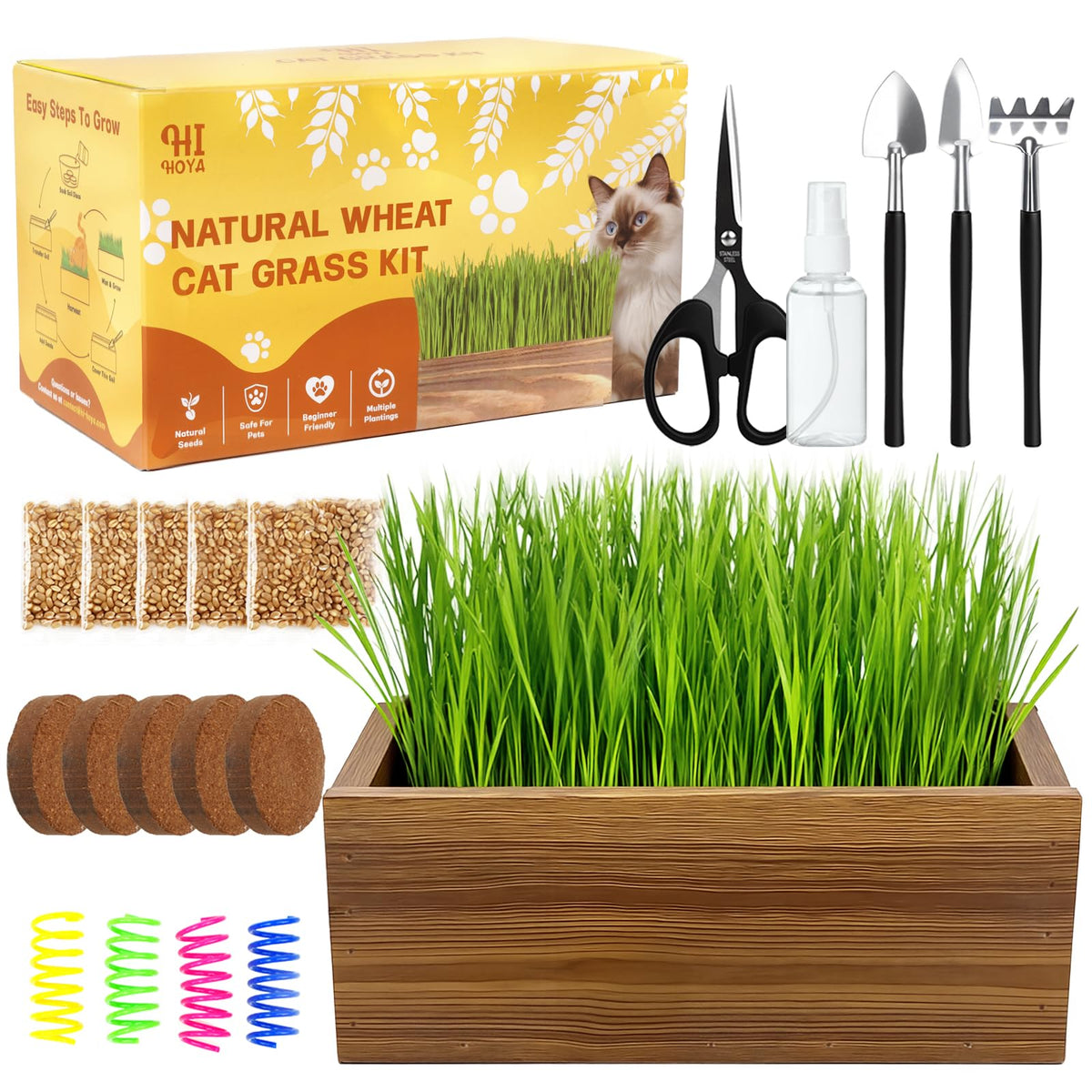 Cat Grass Kit with Wooden Planter 5 Pack V6935