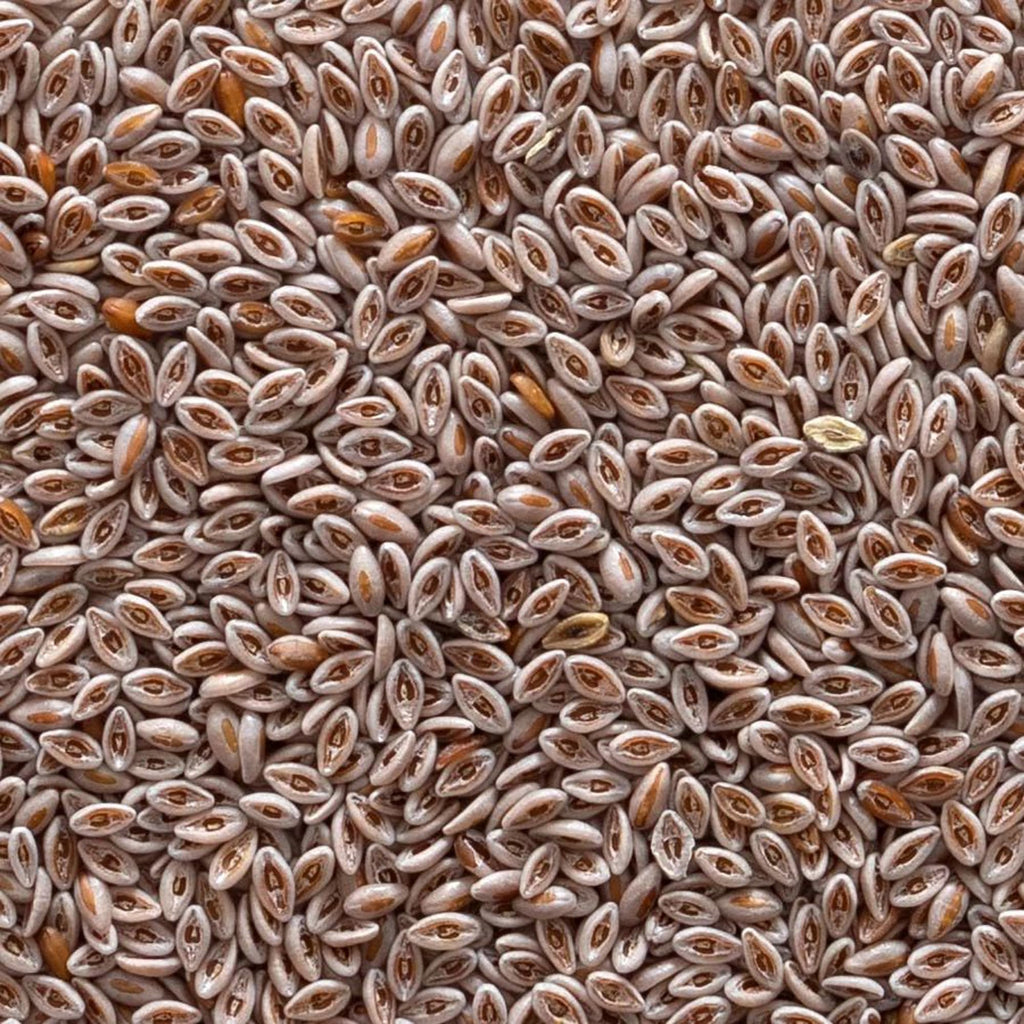 Organic Whole Psyllium Seed 1lb J19444