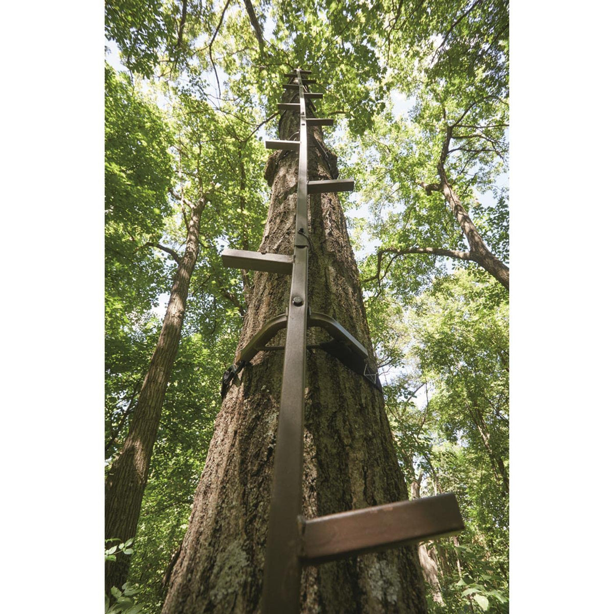 20' Rapid Climbing Sticks 4-Pack L3939