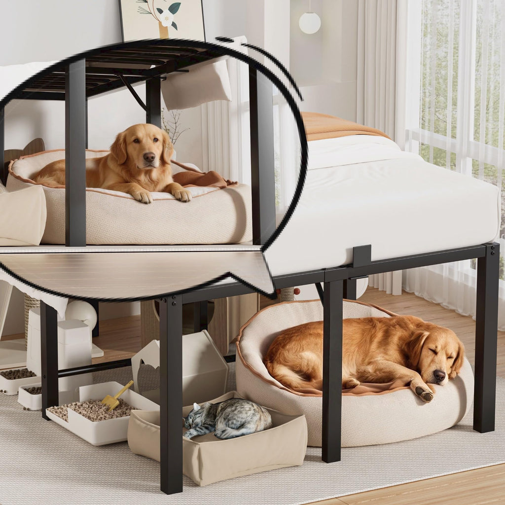 18 Inch Queen Size Black Metal Platform Bed Frame L582