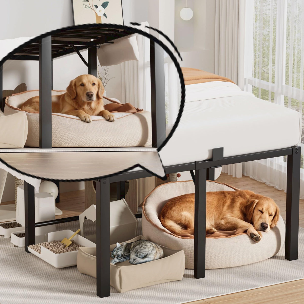 18 Inch Queen Size Black Metal Platform Bed Frame L582