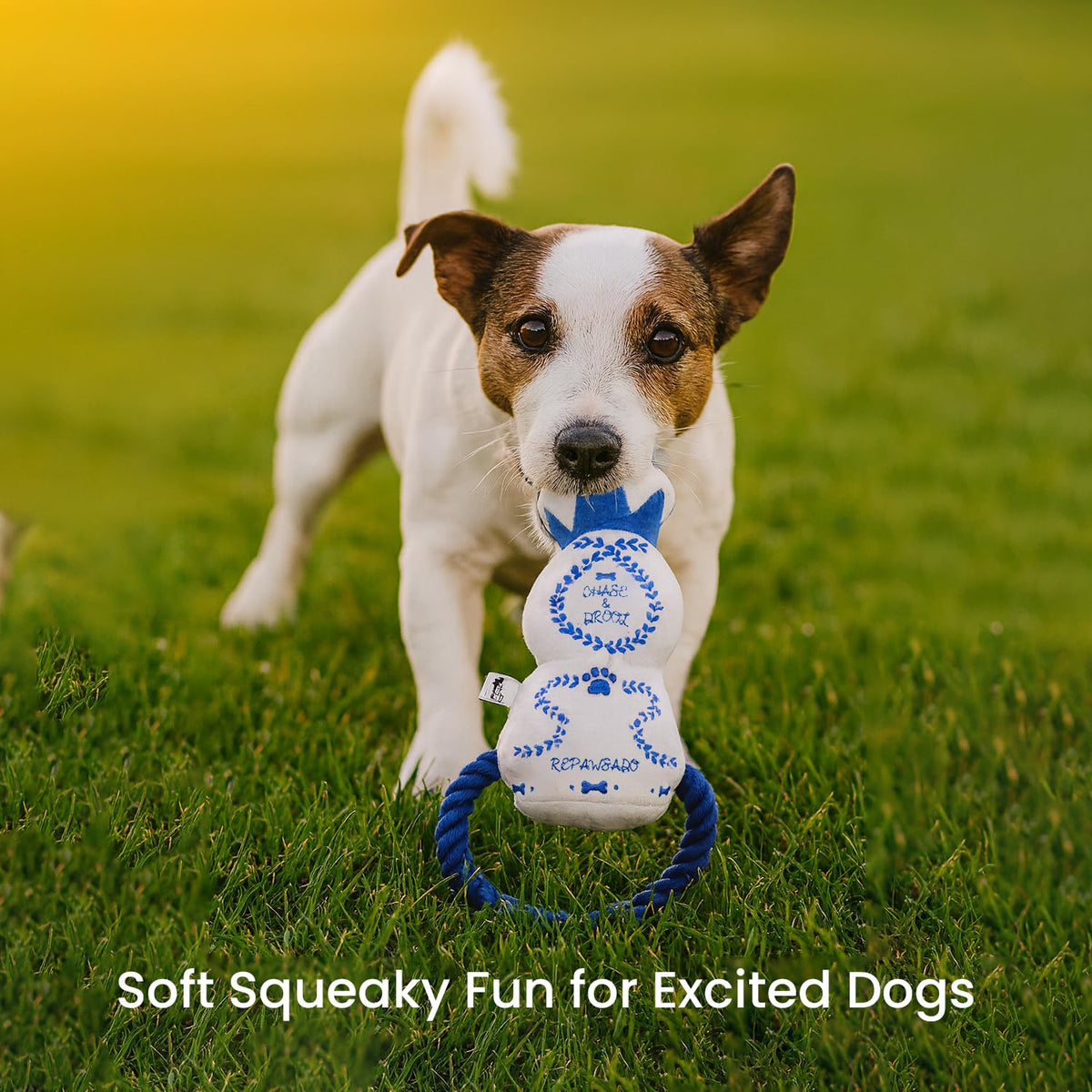 Plush Squeaky Crinkle Dog Toy M1512