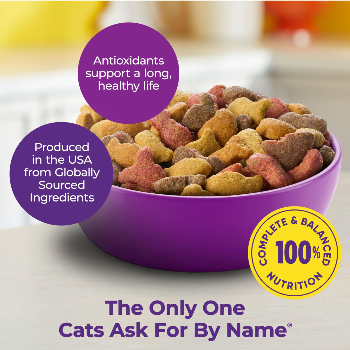 Dry Cat Food 6.3 Pound Bag + Wet Cat Food Variety Pack 2.75 Ounce Cups A7553