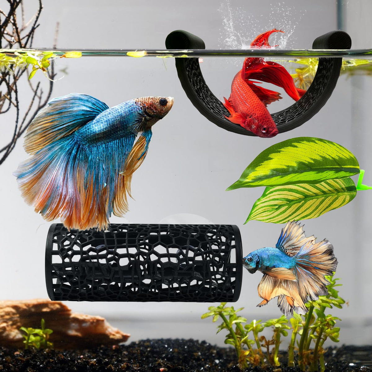 Betta Hammock Set, Fish Tank Decor, Fish Hammock & Hide Tunnel Betta Leaf Pad G168