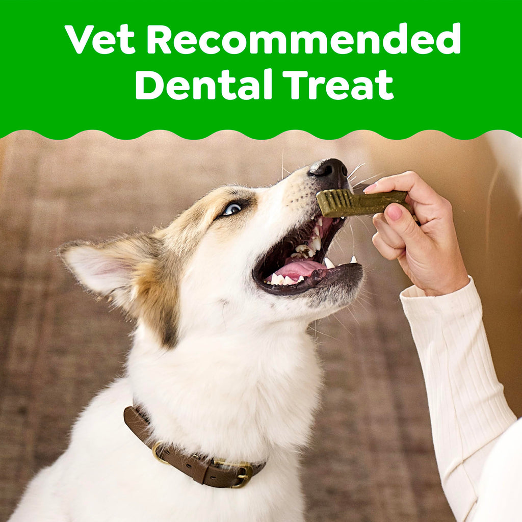 Large Natural Dental Dog Treats Sweet Potato Flavor 8 Count C905048