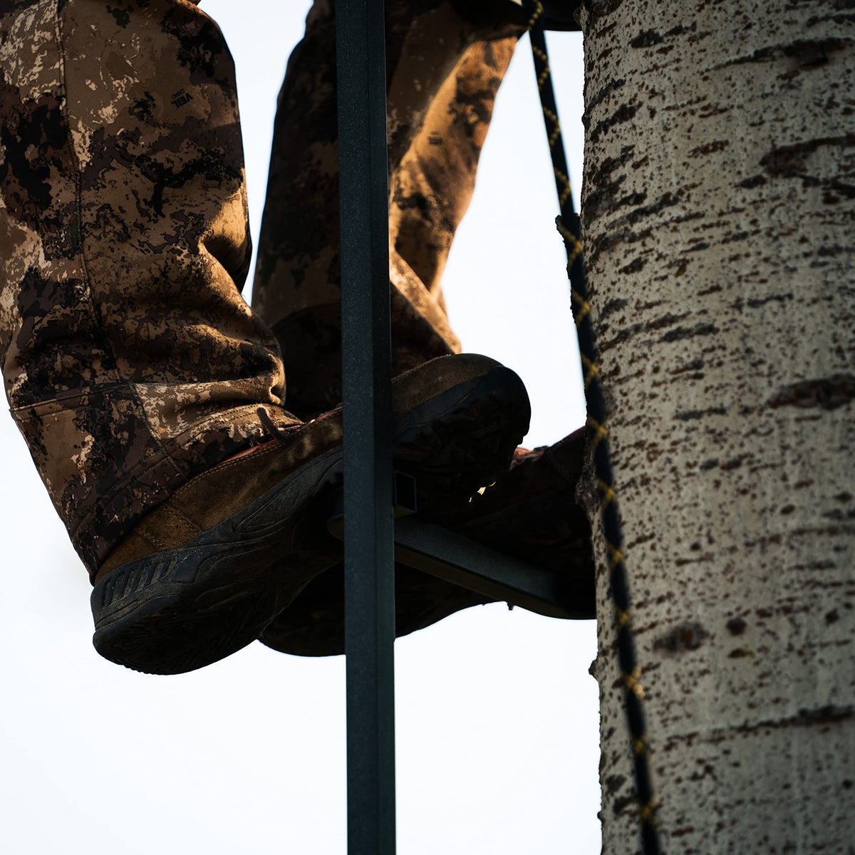 20' Tree Ladder with Non-Slip Coating O6468