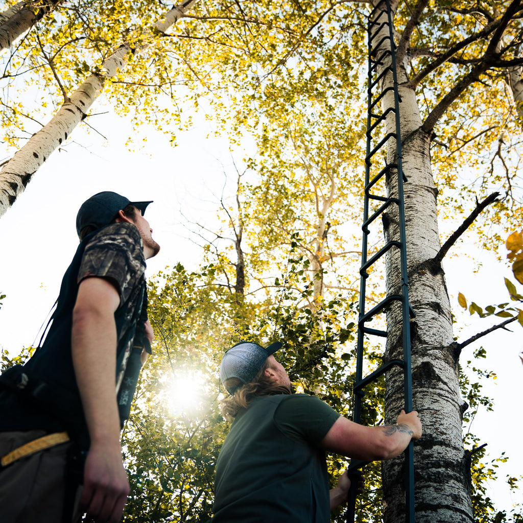 20' Tree Ladder with Non-Slip Coating O6468