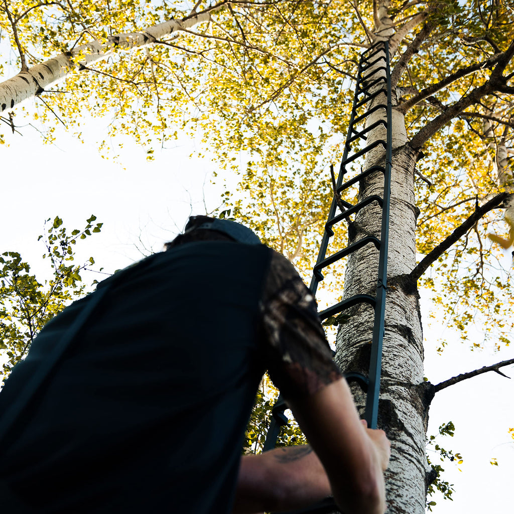 20' Tree Ladder with Non-Slip Coating O6468