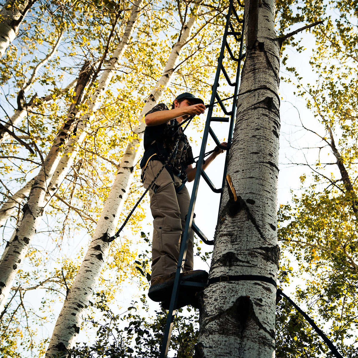 20' Tree Ladder with Non-Slip Coating O6468